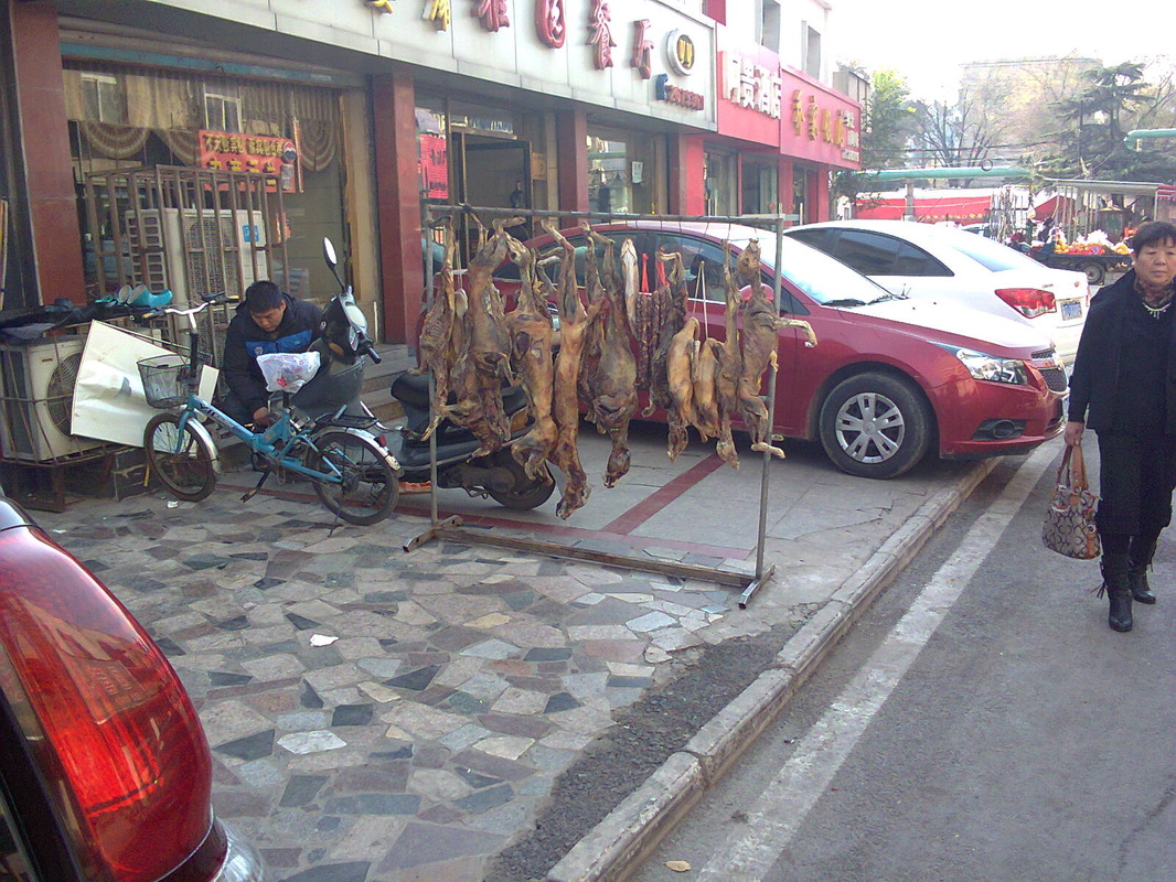Huainan dog meat